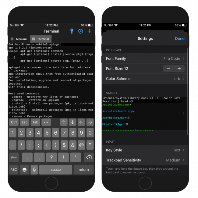 Two iPhone screens showing the NewTerm 2 app iOS terminal and Settings page.
