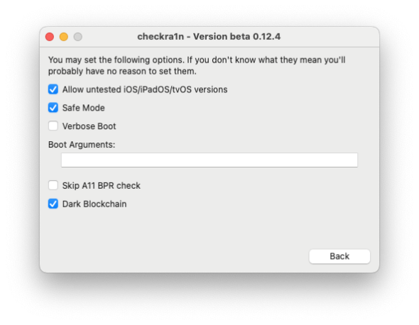 checkra1n settings screenshot.