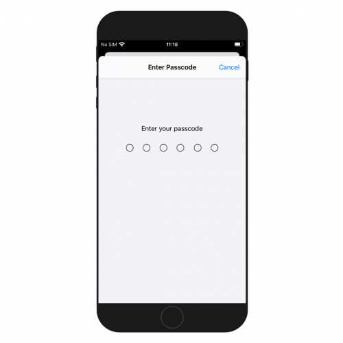 Enter Passcode on iPhone screenshot