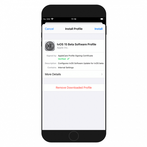 Instal profile on iOS 15 screenshot
