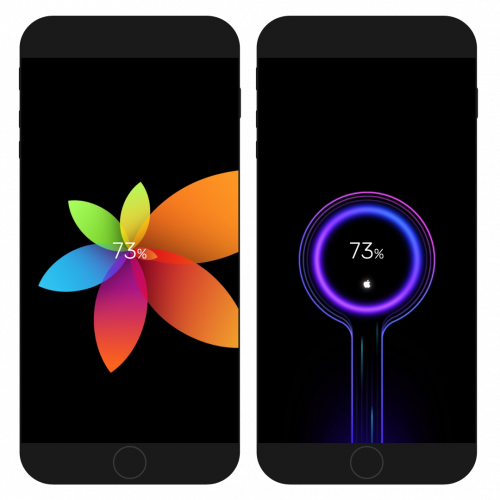 Apple Flower and Miui