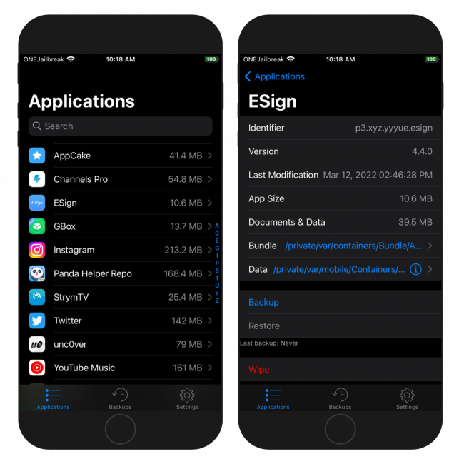 application manager iphone