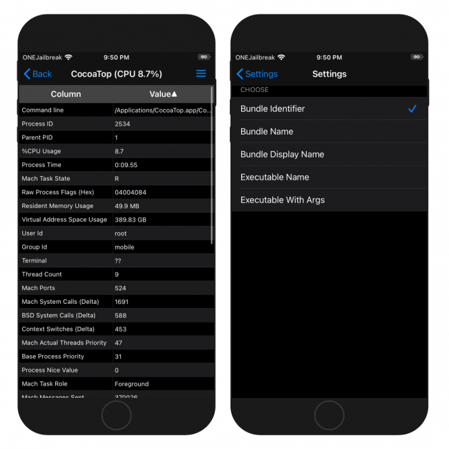 Two iPhone screens showing retiled view of running process on iOS in CocoaTop app.