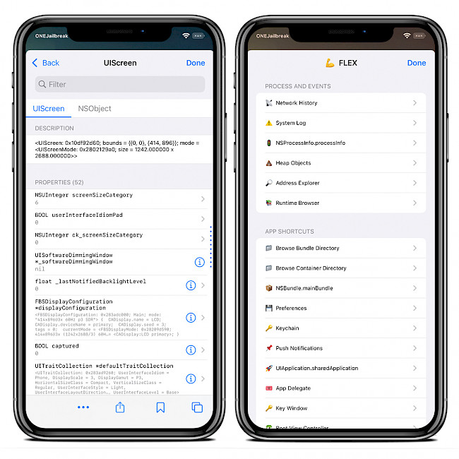 Two iPhone screens showing advanced options provided by FLEXList tweak on iOS 15.