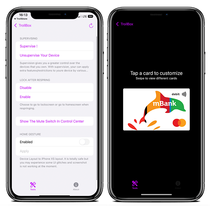 Two iPhone screens showing TrollBox app card customiser and other minor tools for iOS.