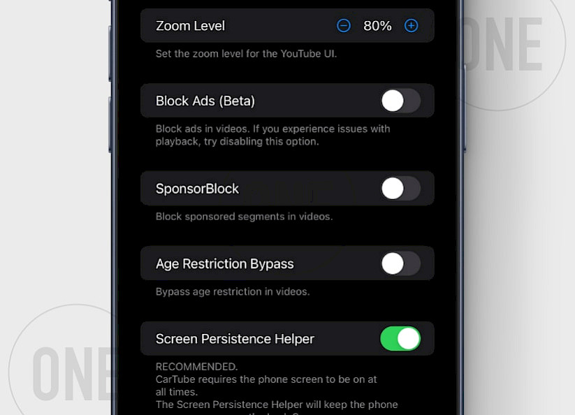 CarTube Settings on iOS 15.