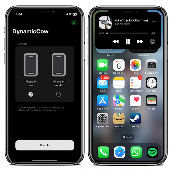 Two iPhone screens showing the DynamicCow app interface and Dynamic Island running on iPhone XS Max.
