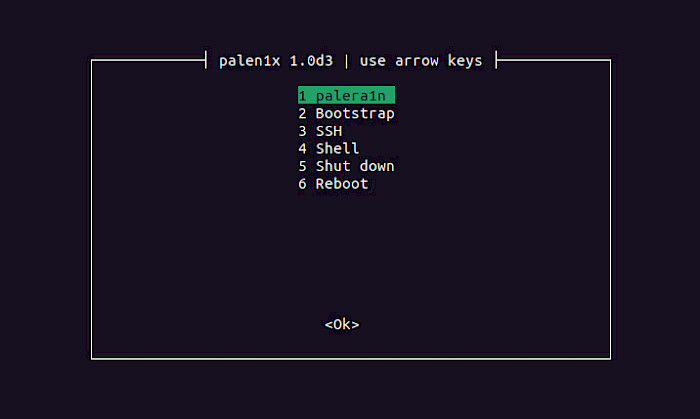 Screenshot of Palen1x interface.
