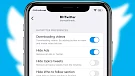 Icon of BHTwitter app
