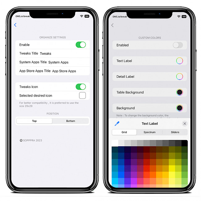 Two iPhone screens showing SettingsRevamp tweak settings.
