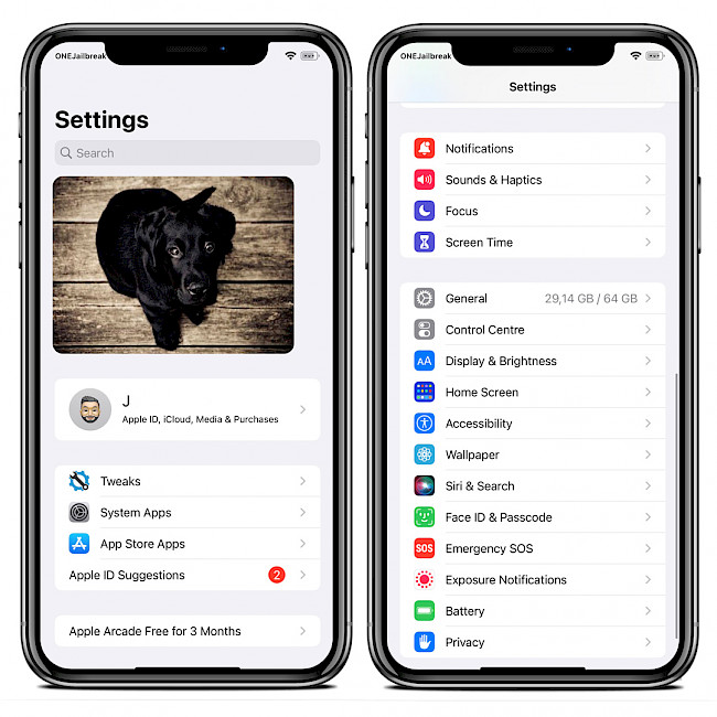 Two iPhone screens showing SettingsRevamp modified Settings app.