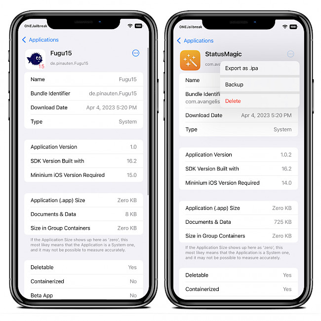 Two iPhone screens showing AppIndex app detailed view.