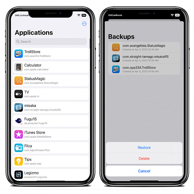 Two iPhone screens showing AppIndex app.