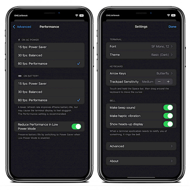 Two iPhone screens showing NewTerm 3 Settings.