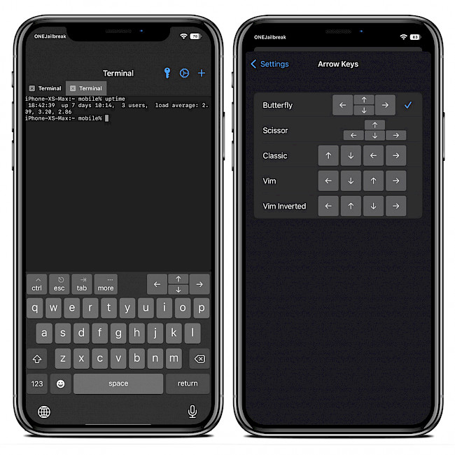 Two iPhone screens showing NewTerm 3 Terminal and arrow keys.