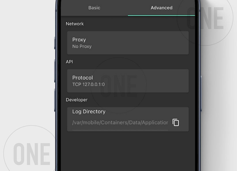 Gopeed Advanced Settings on iOS