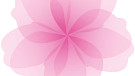Blossom icon