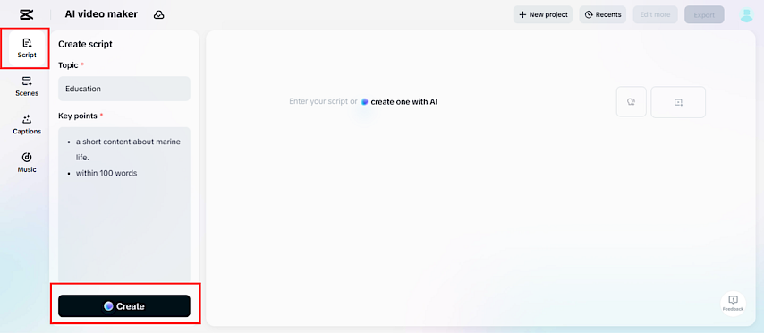 Enter Your Teaser’s Script Brief