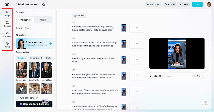 Add Voiceovers, Captions, and Music to Build Hype
